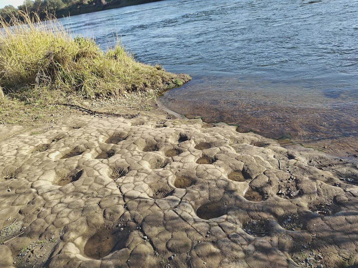 bedrock mortars on the shoreline of Sailor Bar