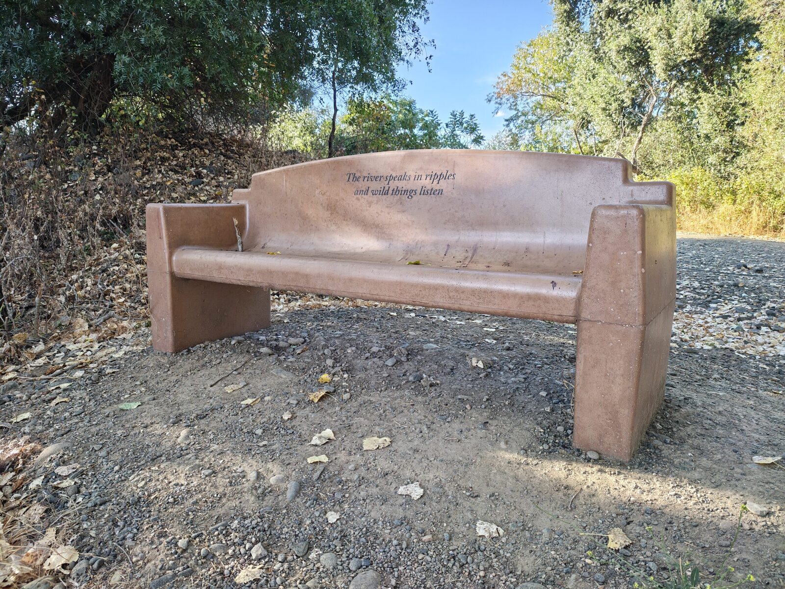 A bench on the cobbles under the trees