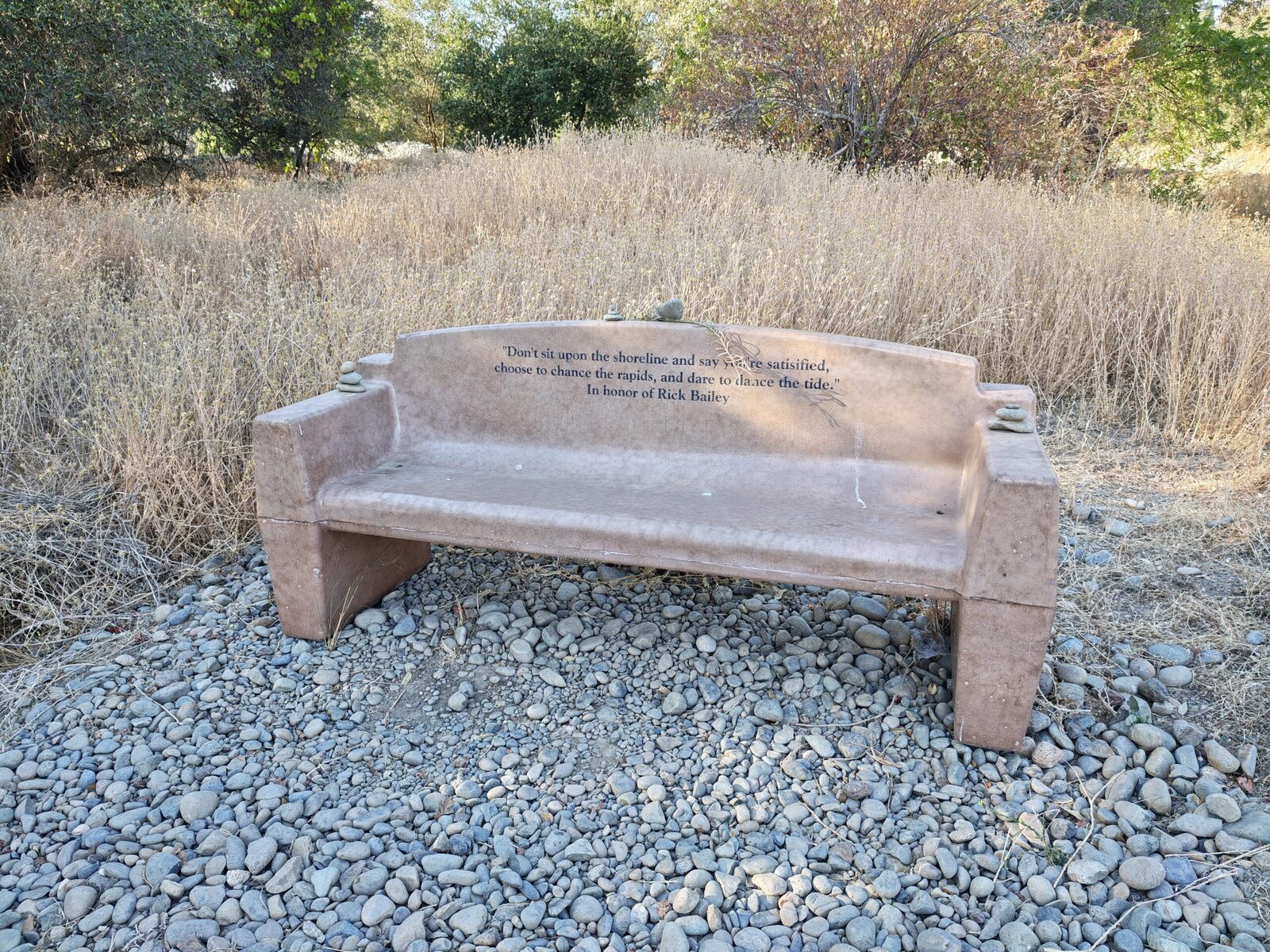 A bench beside the meadow trail