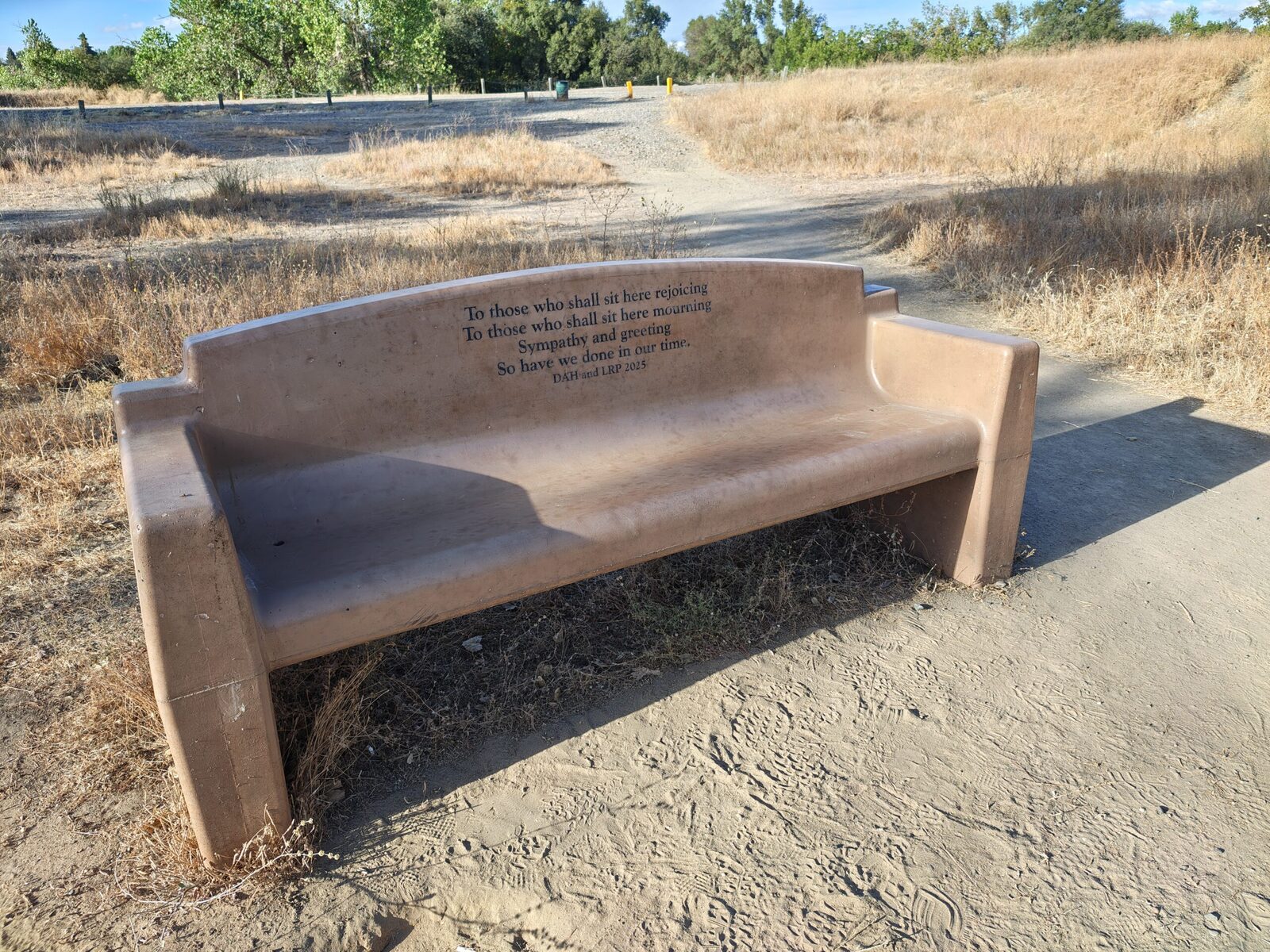 A bench beside the trail through the meadow
