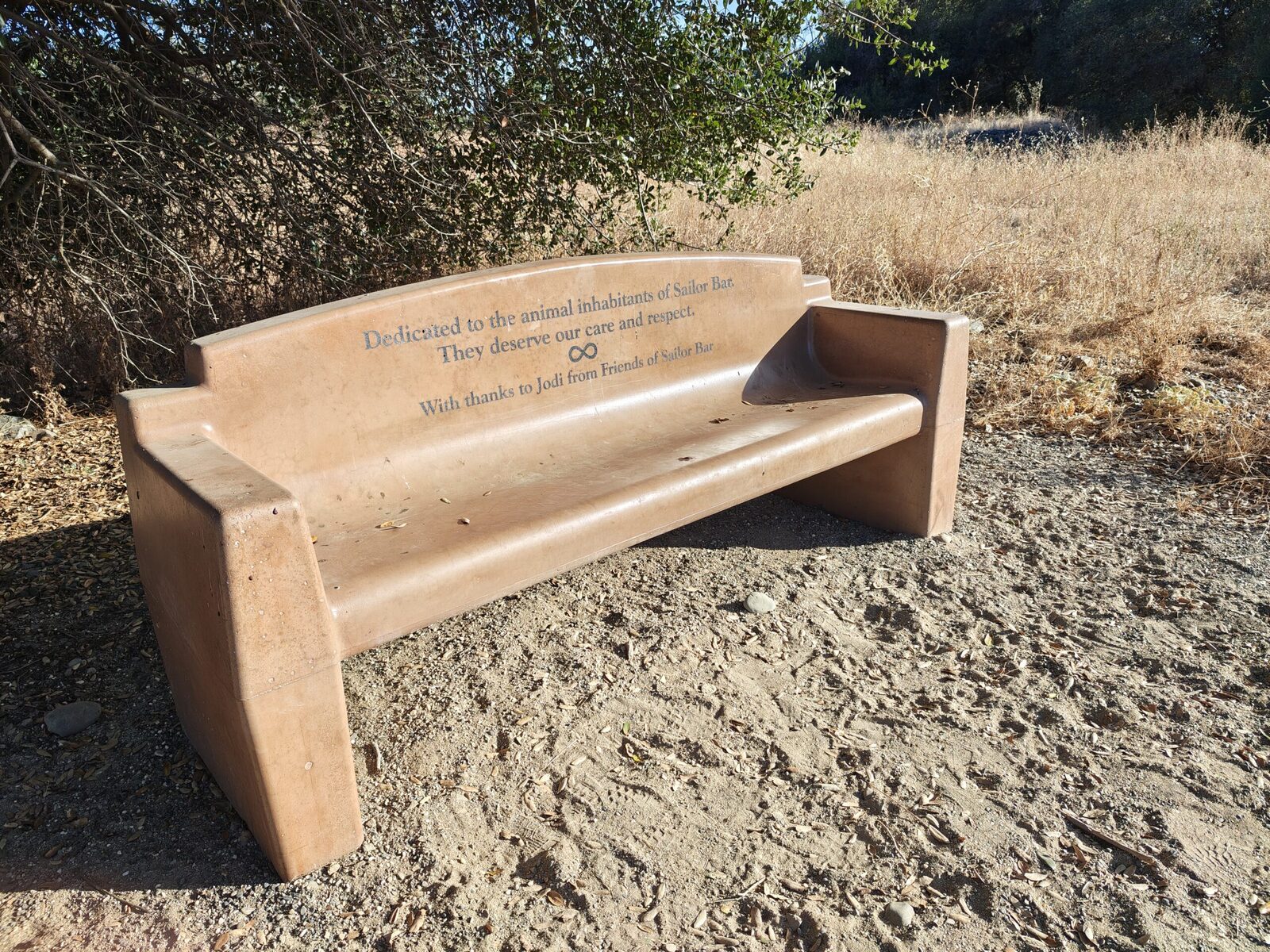 A bench on the bluff trail