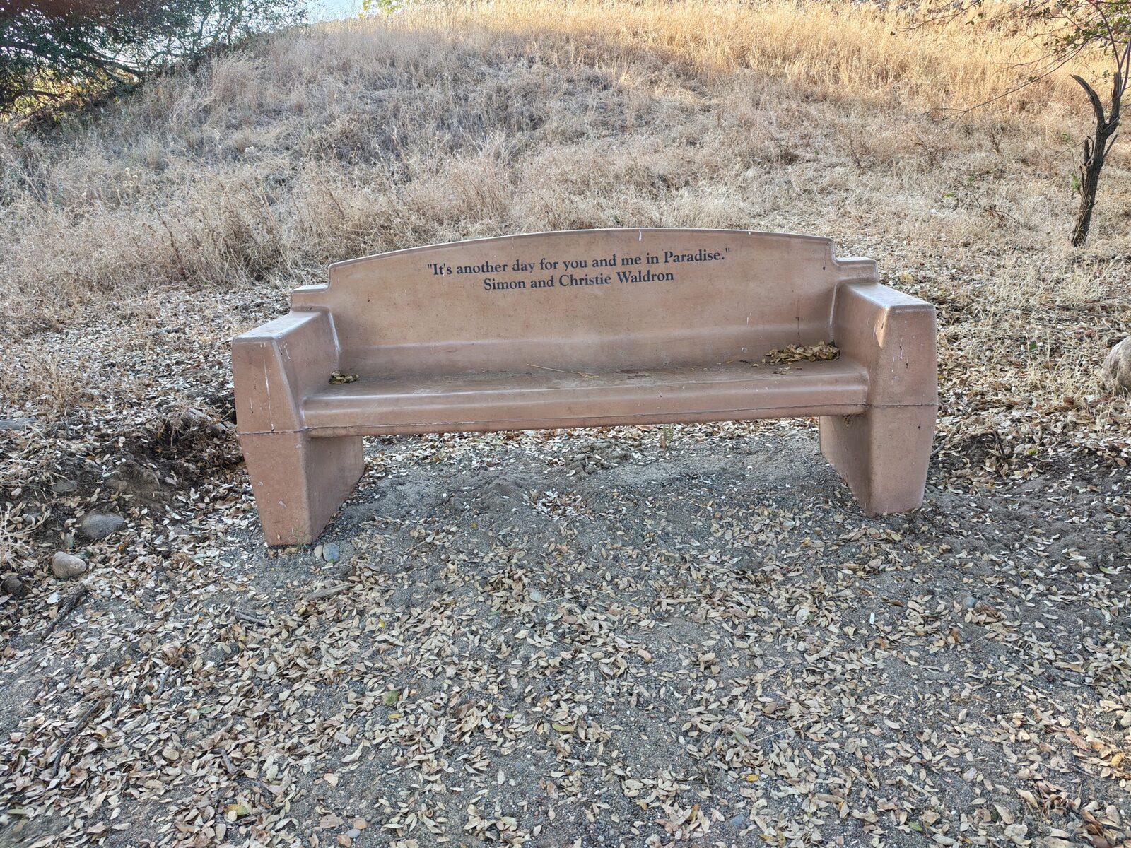 A bench with a view across the river