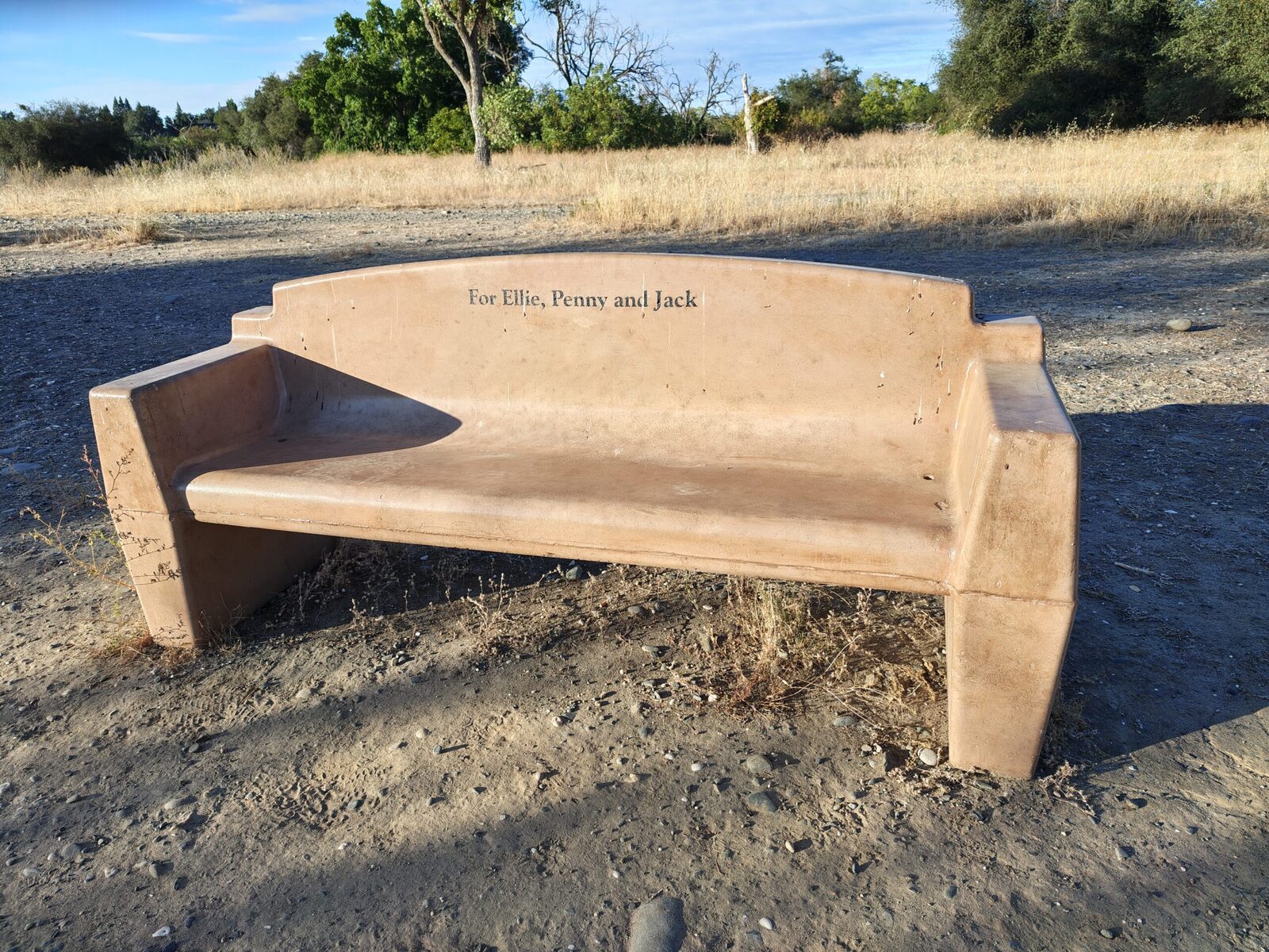 A bench dedicated to Ellis, Penny and Jack
