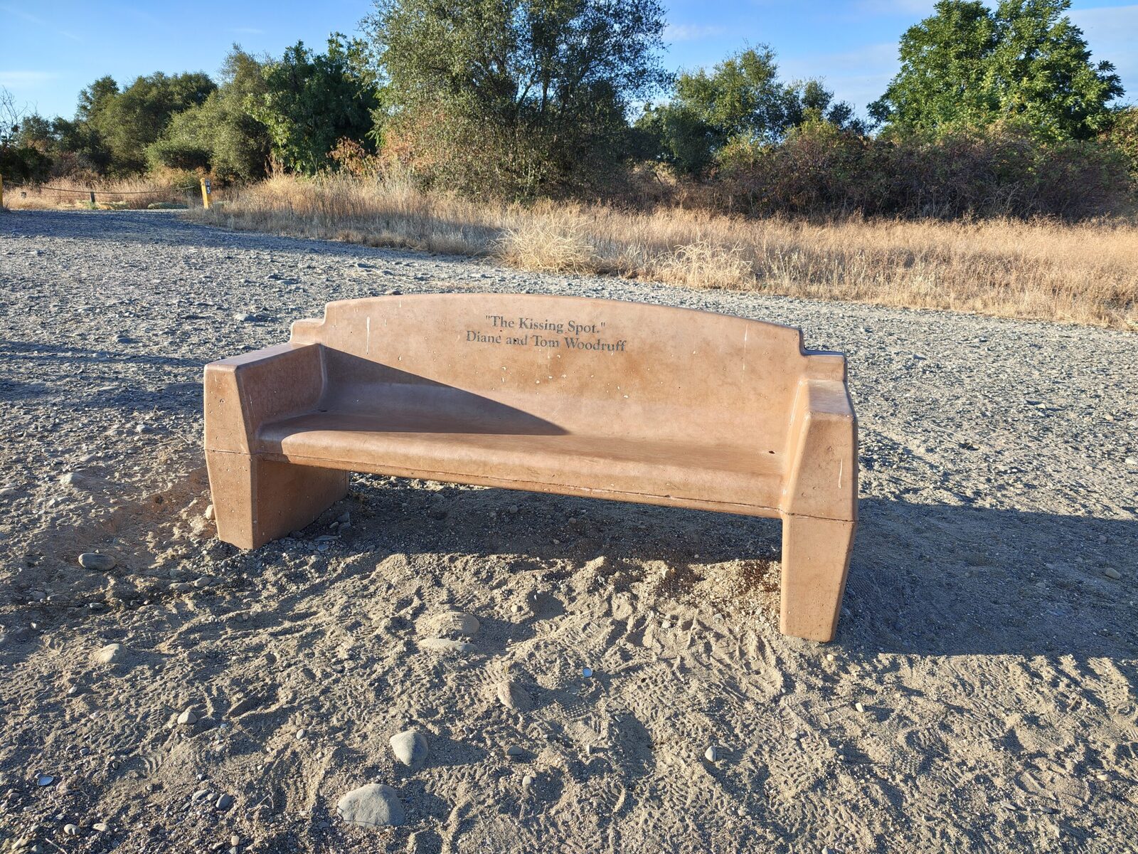 A bench beside the gravel trail