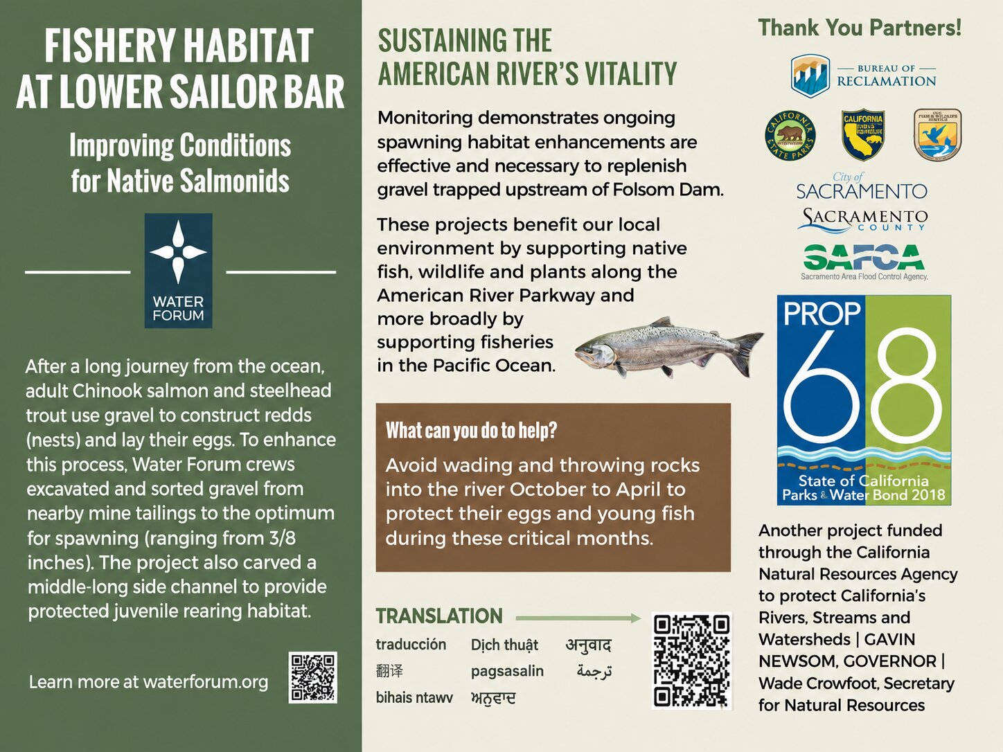 Fishery Habitat at Lower Sailor Bar: improving conditions for native salmonids