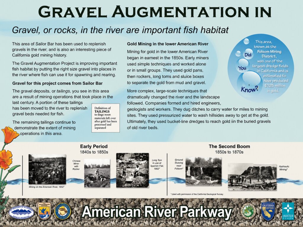 Gravel Augmentation in the Lower American River